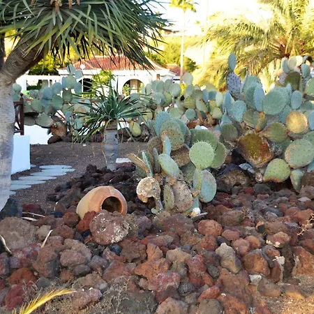 Апартаменты Casa Hilda Parque Golf Vibbecanarias *